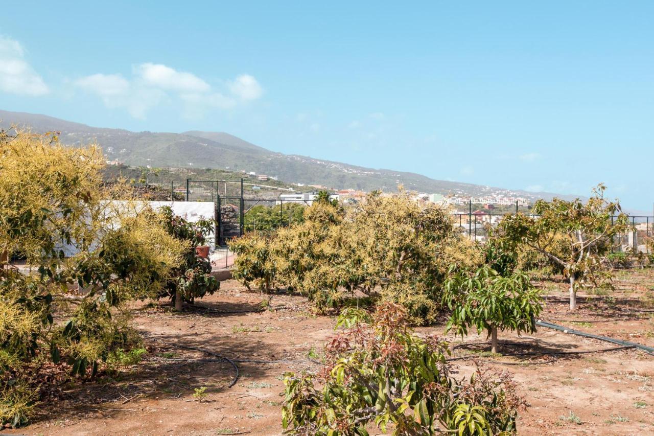 Casa Quemahierro 1 Villa Icod De Los Vinos Bagian luar foto